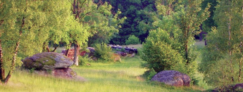 Steinwiese_Rechberg_Foto-Nikola-Jakadofsky