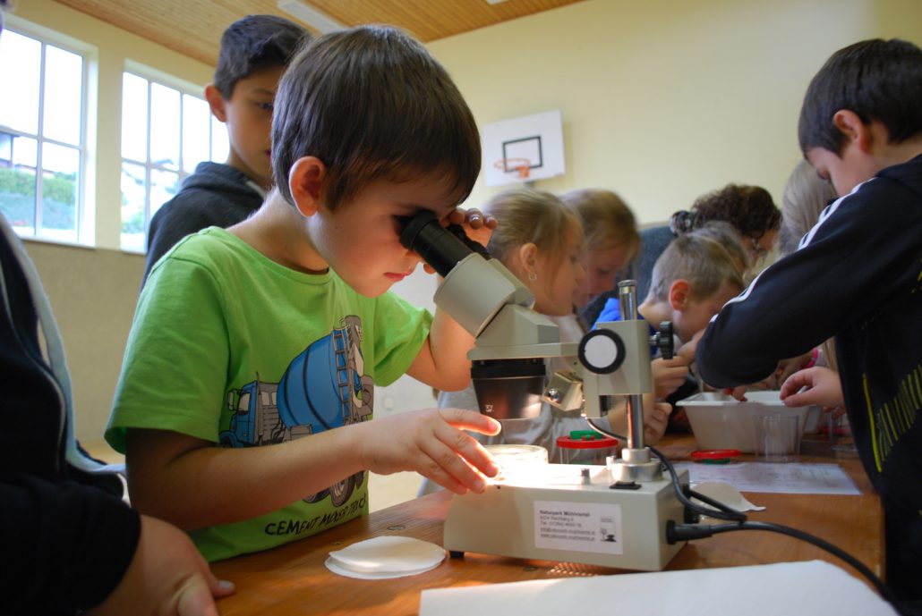 Beim Beobachten von Bodentieren_Foto Derntl