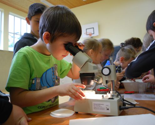 Beim Beobachten von Bodentieren_Foto Derntl