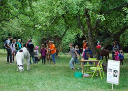 Familienfest Naturpark_Lamas_Foto Derntl