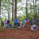 Familienfest Naturpark_Schaukelspaß im Wald_Foto Derntl