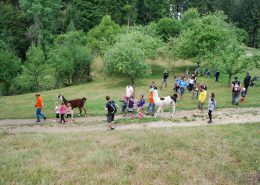 Familienfest Naturpark_Lamawanderung_Foto Derntl