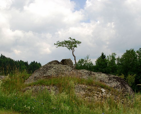 Stoankobel im Naturpark_Foto_copyright Barbara Derntl