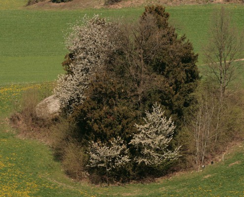 Stoankobel im Naturpark Muehlviertel_Foto_copyright Josef Limberger