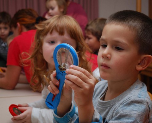 Nathanael betrachtet einen Libellenflügel mit der Lupe_Foto_copyright Barbara Derntl