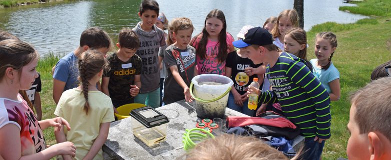 Tag_der_Artenvielfalt_Verwandlungskünstler_Amphibien_Foto Derntl