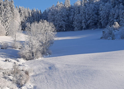 Winterlandschaft_Foto Derntl