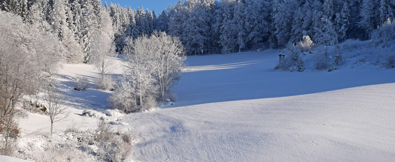 Winterlandschaft_Foto Derntl