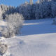 Winterlandschaft_Foto Derntl