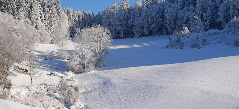 Winterlandschaft_Foto Derntl