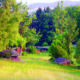 Steinwiese_Naturpark Mühlviertel_Foto Jakadofsky_Nup2019