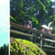 Collage_Vom Winde verweht_2019