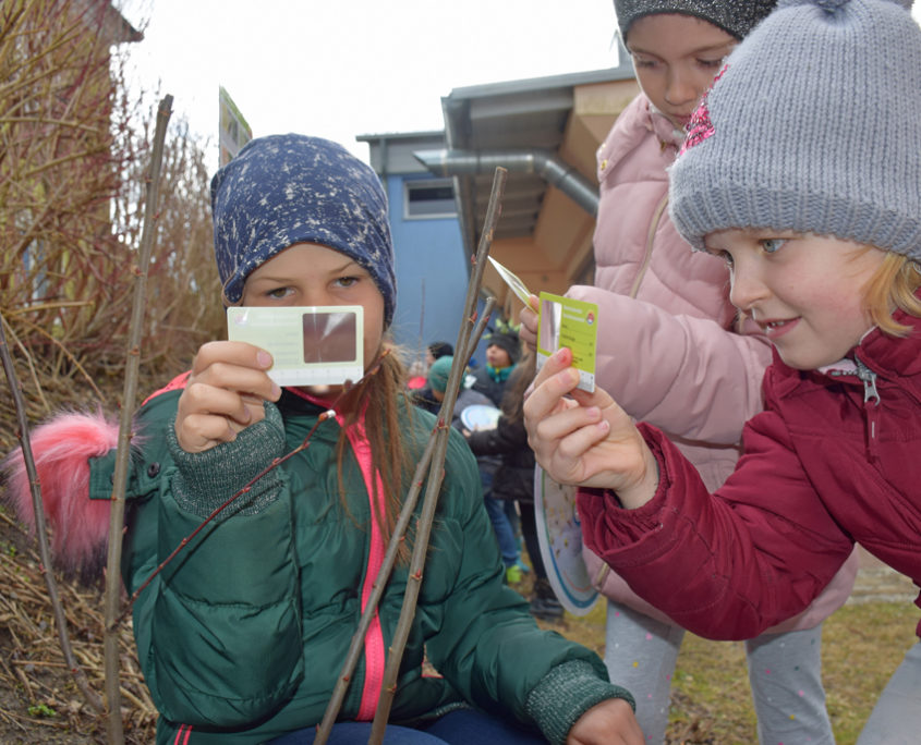 Knospenbeobachtung_mit_den_Forscherlupen_Foto_Barbara_Derntl