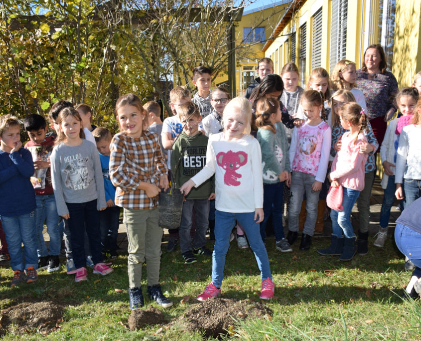 VS_Rechberg_Pflanzaktion_Hecke_Foto_Reiter