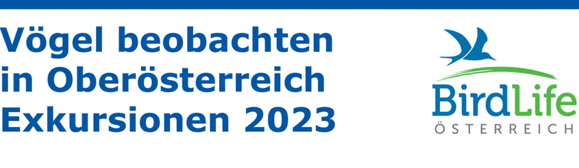 BirdLife Exkursionsprogramm OÖ 2023 NEU-2