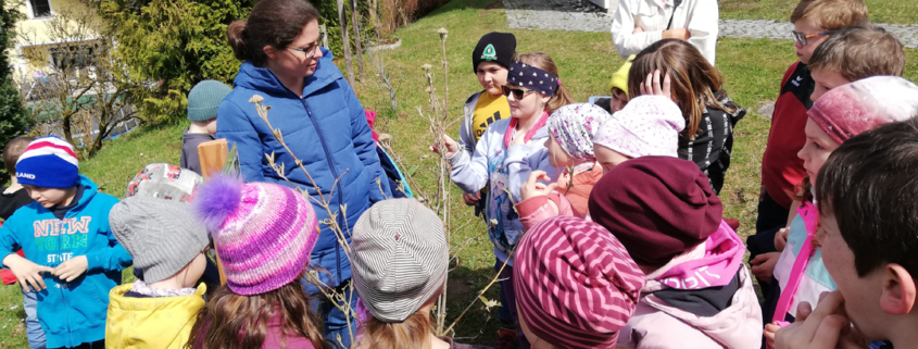 Naturkalender_Workshop_SchülerInnen_St_Thomas_April_2023_Foto_Naturpark_Mühlviertel
